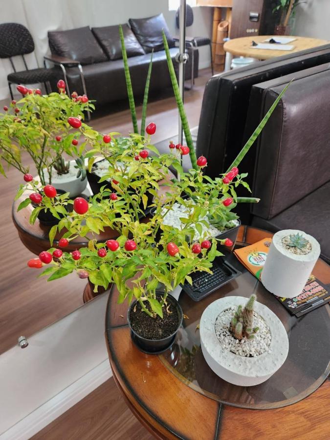 Fujima Hostel Сан-Пауло Экстерьер фото